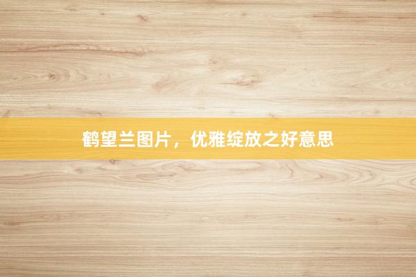 鹤望兰图片，优雅绽放之好意思
