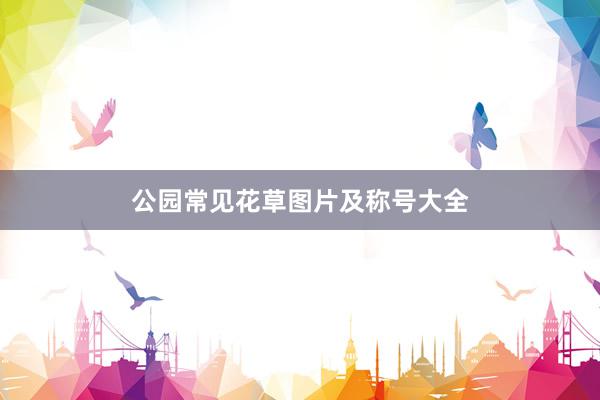 公园常见花草图片及称号大全