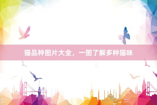猫品种图片大全，一图了解多种猫咪