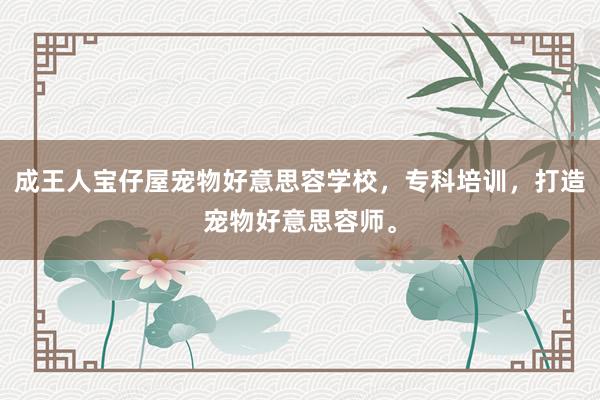 成王人宝仔屋宠物好意思容学校，专科培训，打造宠物好意思容师。