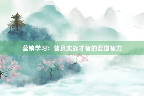 营销学习：普及实战才智的要道智力