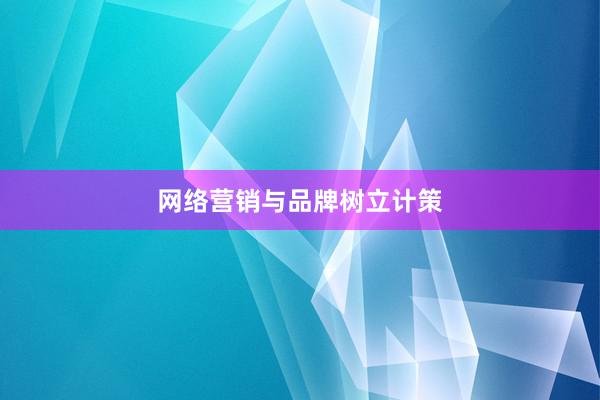 网络营销与品牌树立计策